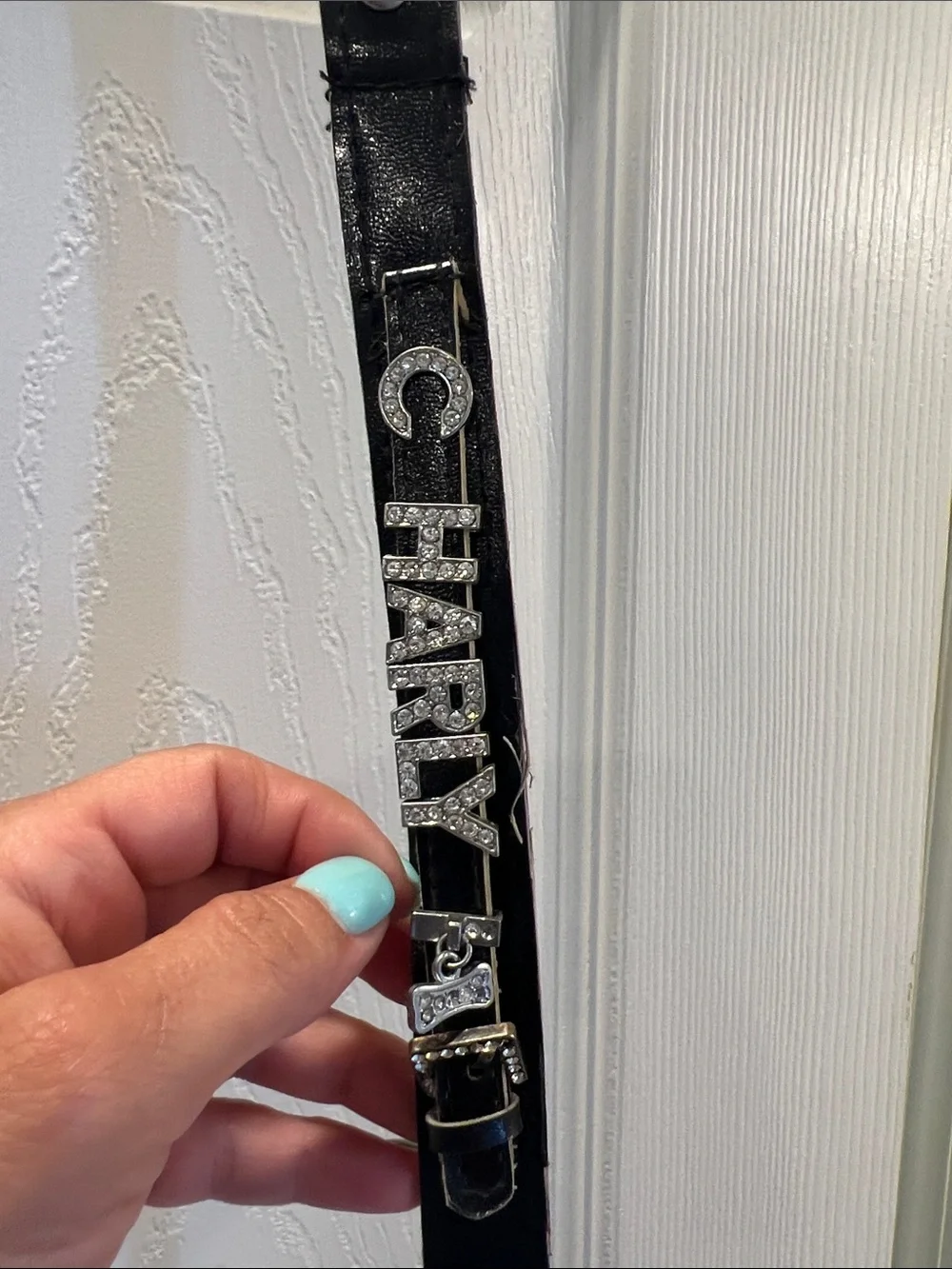 Dog Leashes that can be Personalized